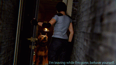 WGQHS-jill-and-dog_2160p-9.gif